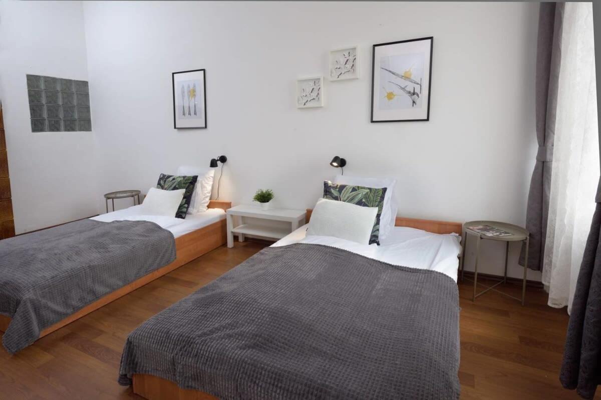 Apartment Large Cosy *