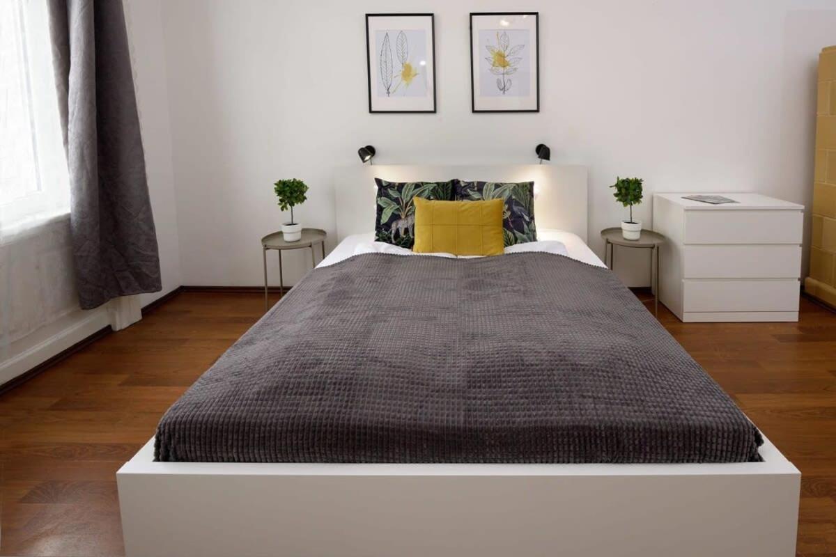 Large Cosy Apartment Budapest
